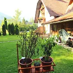 Edelweiss Rooms&app Гостевой дом 3*