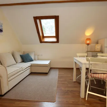 Guest house Edelweiss Rooms&app Kranjska Gora
