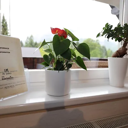 Edelweiss Rooms&app 3* Kranjska Gora