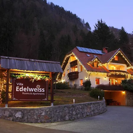Edelweiss Rooms&app Πανσιόν Kranjska Gora