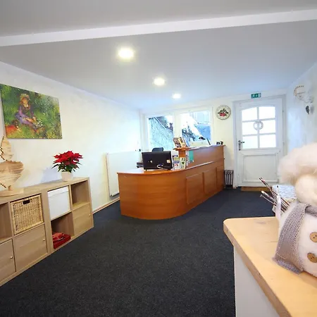 Edelweiss Rooms&app Гостевой дом Краньска Гора