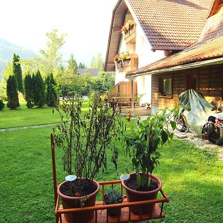 Edelweiss Rooms&app Konukevi 3*