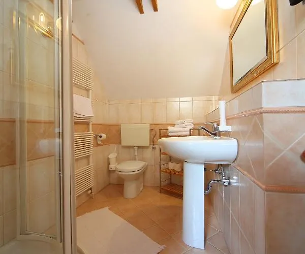 Guest house Edelweiss Rooms&app Kranjska Gora