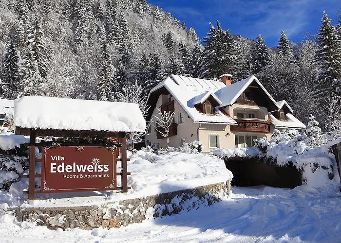Edelweiss Rooms&app Gæstehus Kranjska Gora