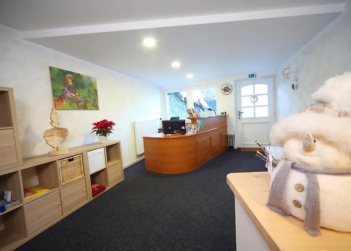 Edelweiss Rooms&app Guest house Kranjska Gora